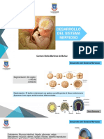 Desarrollo Embrionario Del SN