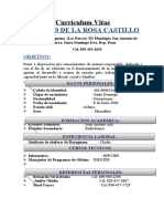 Curriculum Vitae: Ronald de La Rosa Castillo