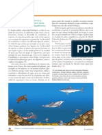 ciencias-1-editorial-santillana (2)