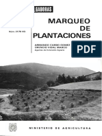 Marco Plantacion