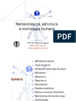 Estrutura e morfologia humana