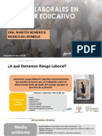 RIESGOS LABORALES EN EL SECTOR EDUCATIVO (1)