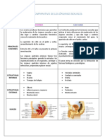 Cuadro comparativo órganos sexuales femeninos masculinos