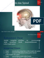 Cedera Kepala Dan Spinal