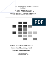 RPPH Paud Tema Keluargaku Subtema Anggota Keluarga - Minggu 5