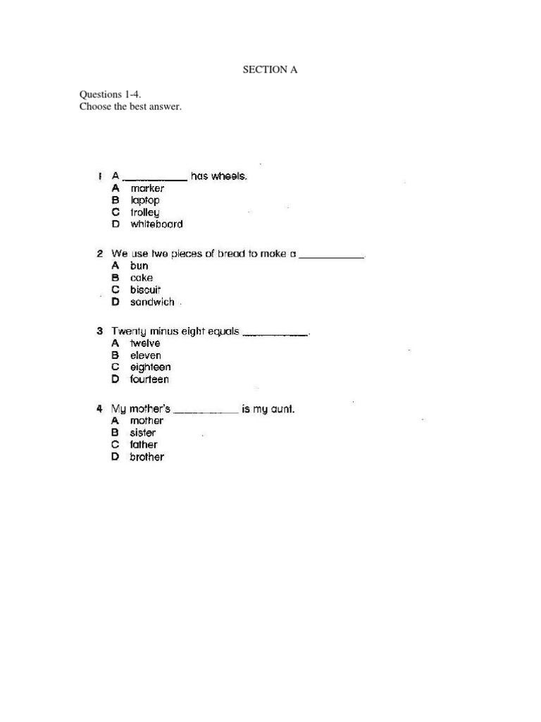 Visual and Vocabulary Assessment Test | PDF