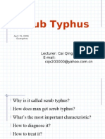 Scrub Typhus: Causes, Symptoms and Treatment
