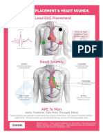 5 Lead Ekg Placement & Heart Sounds