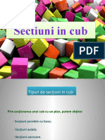 Sectiuni Animate in Cub