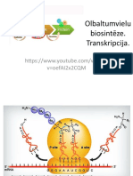 Olbaltumvielu Biosinteze