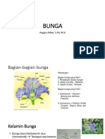 BUNGA