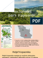 Nacionalni Park Kopaonik