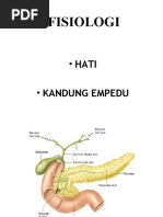 Fisiologi Hati Dan Kandung Empedu