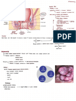 Hemorrhoids Thalamustudy