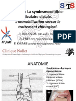 12 Le Judo La Syndesmose Tibio Fibulaire Distale. L Immobilisation Versus Le Traitement Chirurgical. A. Frey, R. Rousseau