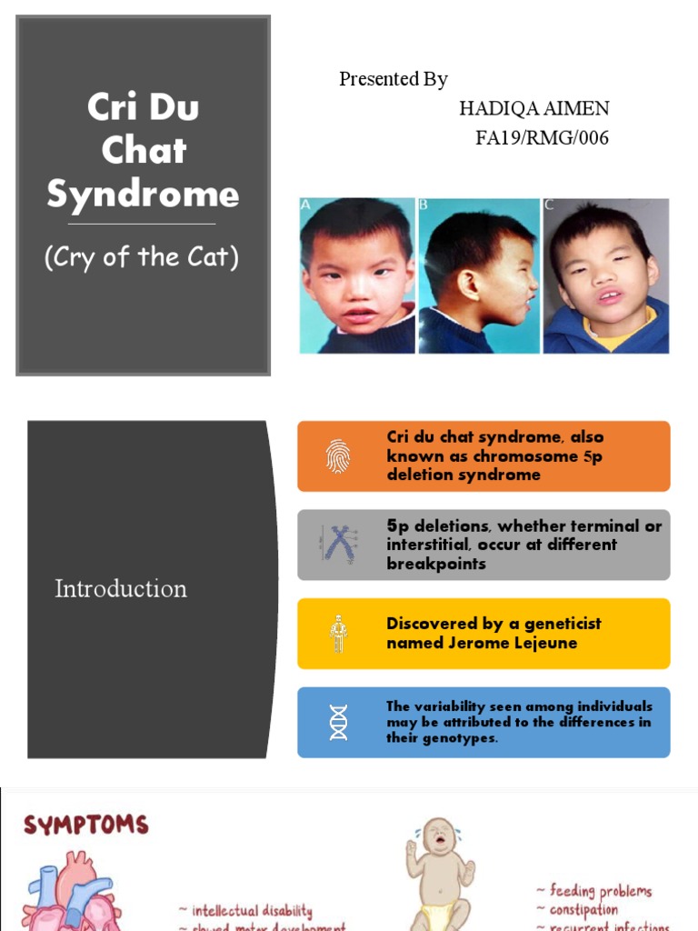 Overview of Cri Du Chat Syndrome | PDF | Gene | Deletion (Genetics)