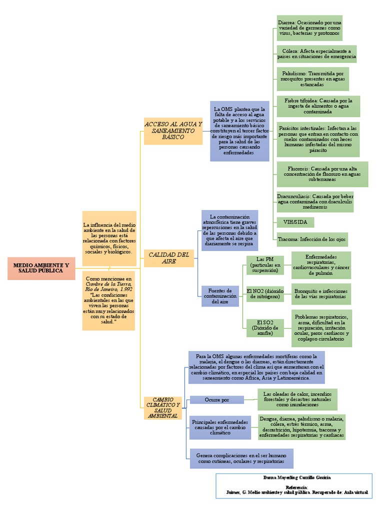 Formato de Mapa Conceptual MEDIO AMBIENTE Y SALUD PUBLICA | PDF ...