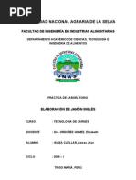 Download JAMN INGLES 2009 by James Jhon Isuiza Cuellar SN49333961 doc pdf