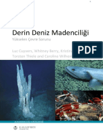 Derin Deniz Madenciliği - IUCN