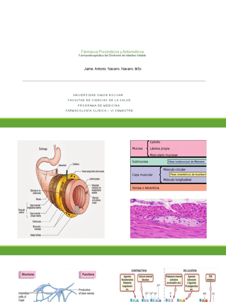 Fármacos Procinéticos y Antieméticos | PDF | Gastroenterología | Drogas