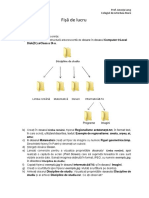 09_Fișa de lucru_4_Operații cu fișiere și dosare