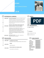 Curriculum Vitae Luis Carlos