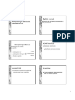 Histopatologia cavidade bucal