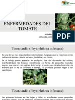 Enfermedades Del Tomate