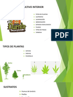 Curso de Cultivo Interior