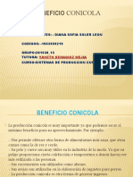 Beneficio Conicola