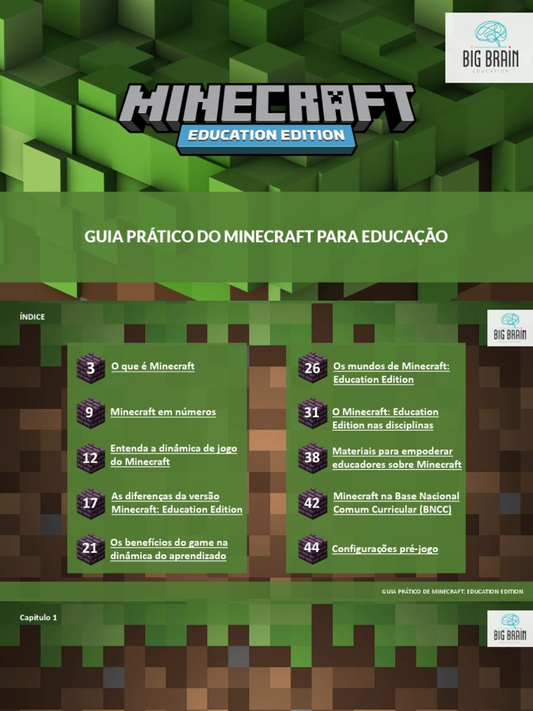 Minecraft: Guia completo : Dez formas diferentes de se divertir com  Minecraft