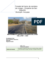 Informe Forestal Lovago