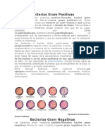 Bacterias Gram Positivas y Negativas