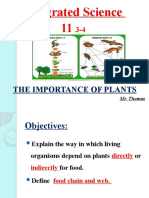 Food Chain and Web Presentation