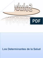 Los Determinantes de La Salud