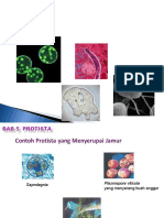 Bab 5 Protista