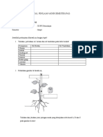 Soal Pas Bio Kls Xi SMT 1 2021