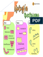 Morfología Bacteriana