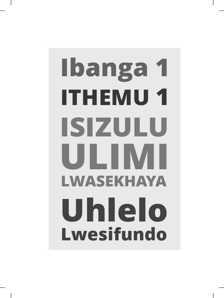 gr-1-term-1-2020-hl-isizulu-lesson-plan-pdf