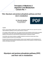 Glycolysis and PPP and Their Role in Metabolism