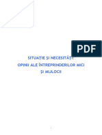 Situatii Si Necesitati - Opinii Ale Intreprinderilor Mici Si Mijlocii IMM