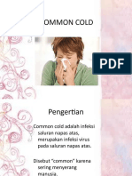 Cara Mencegah dan Mengatasi Flu Biasa