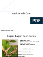 3a. Karakteristik Daun