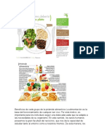 Beneficios de Cada Grupo de La Pirámide Alimenticia La Alimentación Es La Base Del Funcionamiento de Cualquier Ser Vivo