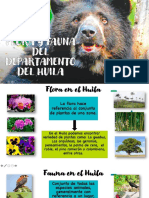 Fauna y Flora Del Huila