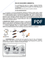 8 - Quebra Do Eq. Ambiental