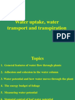 Week 4 - Water Uptake, Water Transport and Transpiration