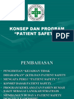 Program Patient Safety