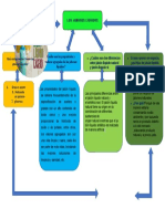 Mapa Conceptual Del Jabon Liquido