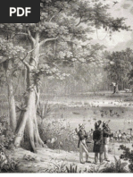 Download Mata Atlantica Ingles by veracloviscavalcanti SN49347560 doc pdf